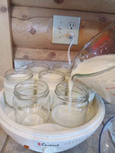 Adding yogurt mixture to yogurt heater