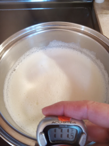 checking the temperature of the yogurt